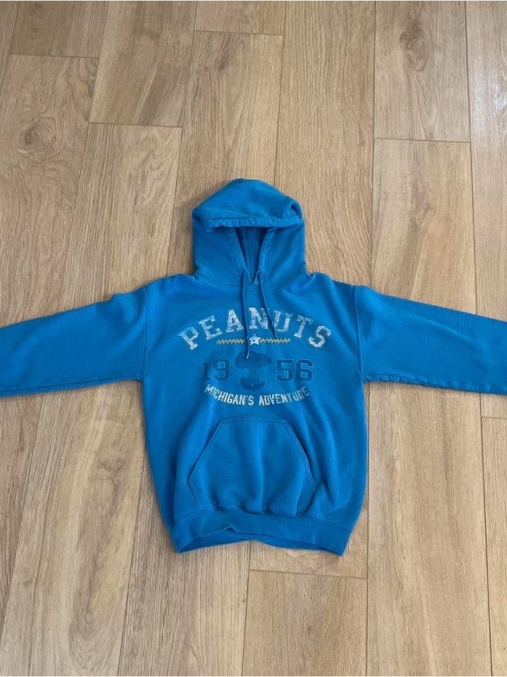 Rare Blue Michigan Adventures Hoodie